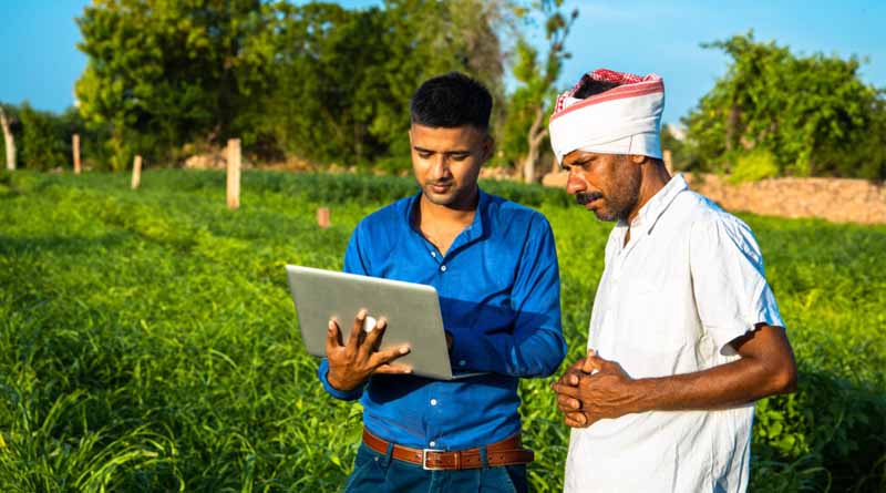 Plantwiseplus Knowledge Bank 2024 Wrap Up