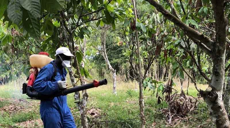 The Launch Of Valis Plus In Ghana: An Innovative Solution For Cocoa Black Pod Disease Control