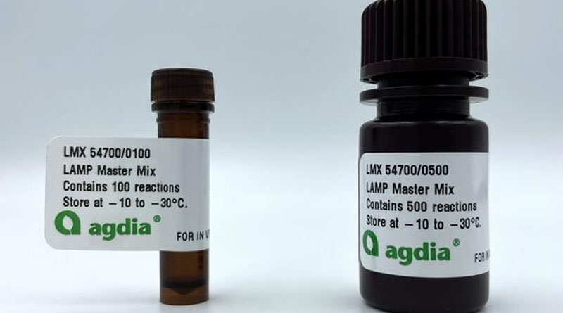 Agdia Launches AmplifyRP LAMP Master Mix: A Game-Changer for Rapid Molecular Diagnostics