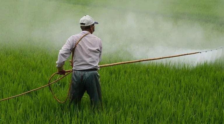 Agriculture Minister Suspends 4 Marketing Board Officials For Negligence In Duty