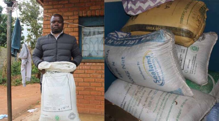 Advisory Services Boost Bean Farming In Malawi