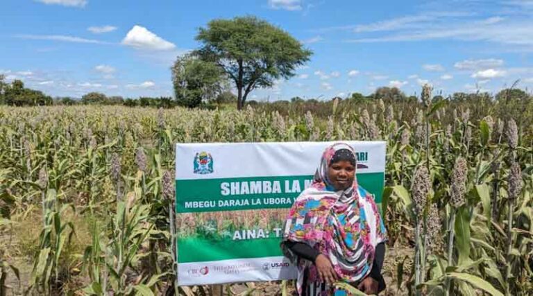 How Ivuna Women Farmers Are Transforming Their Lives Through Seed Production