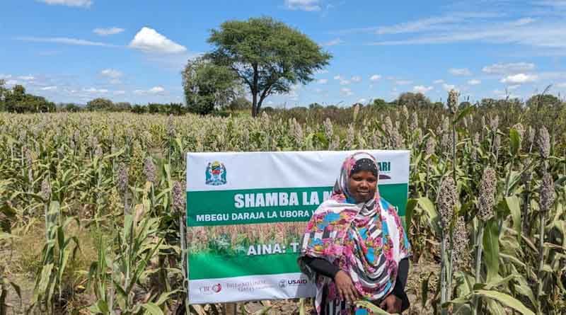 How Ivuna Women Farmers Are Transforming Their Lives Through Seed Production