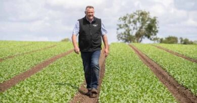 Together We’re Ensuring That Consumers Can Enjoy Snack Lettuce All Year Round