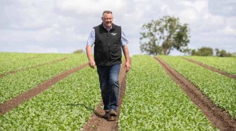 Together We’re Ensuring That Consumers Can Enjoy Snack Lettuce All Year Round