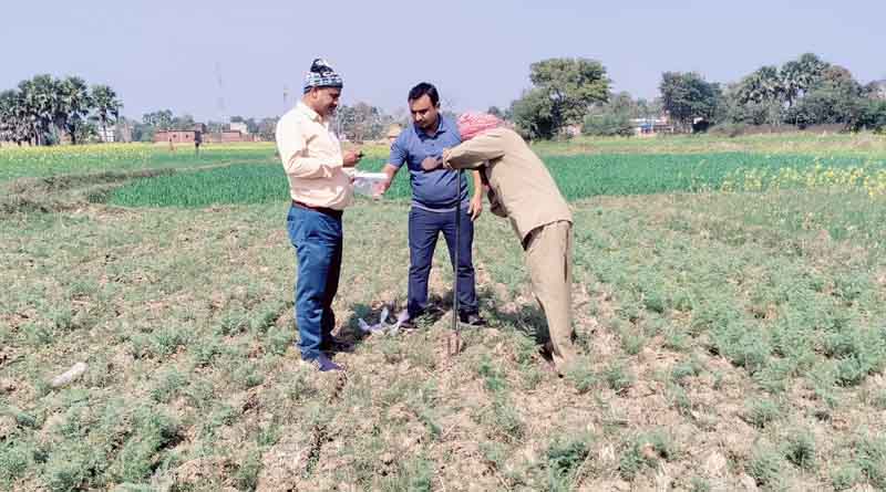 Upscaling Pulses and Oilseeds Production in Rice-Fallow Areas of Eastern India