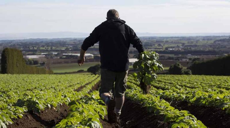 Making It Easier To Grow Vegetables Critical For New Zealand
