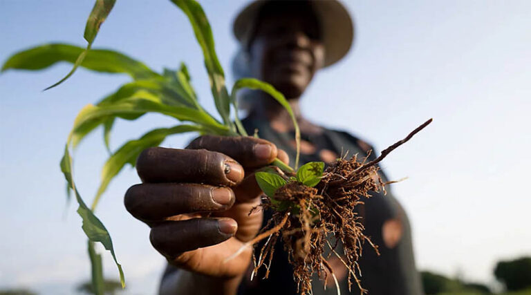 Gates Agricultural Innovations and Corteva Announce New Collaboration to Accelerate Ag Innovation