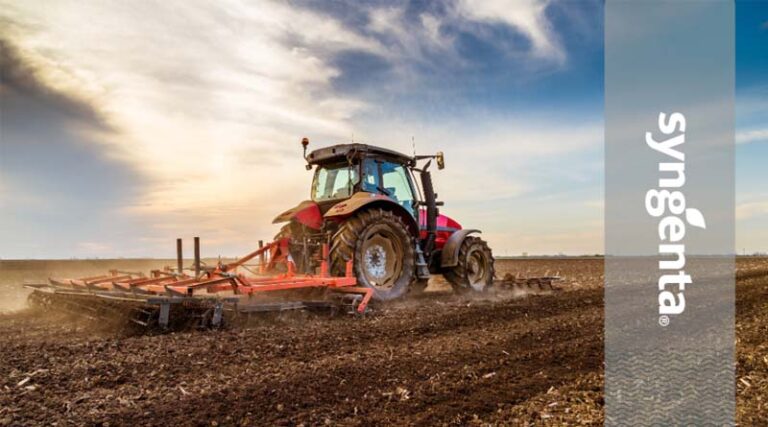 Golden Grains: Unlocking The Full Potential Of Your Spring Barley Crop