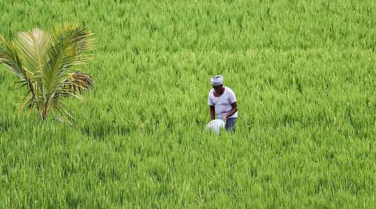 Legal Clarity Needed on Responsibility for MRL Adherence in Pesticides: CCFI