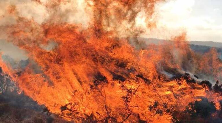 UK Peatland Fires Are Supercharging Carbon Emissions As Climate Change Causes Hotter, Drier Summers