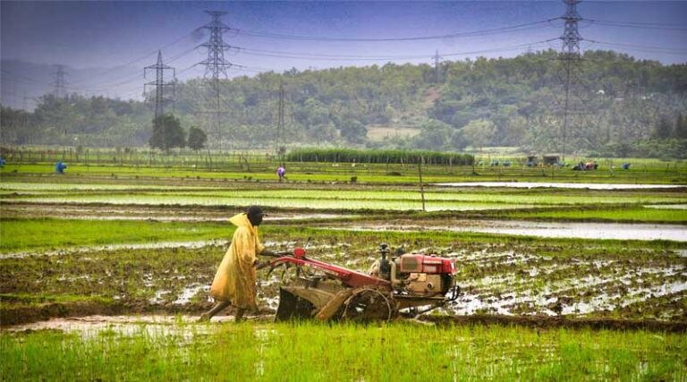 Managing Crop Stress: Techniques to Protect Crops from Biotic & Abiotic Stress
