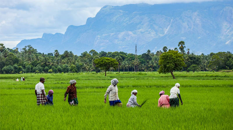 Grameen Credit Score: A Game-Changer for Rural Finance