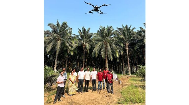 Drones Engaged for Tree Counting, Fresh Fruit Bunch (FFB) Estimation, and Health Monitoring by 3F Oil Palm