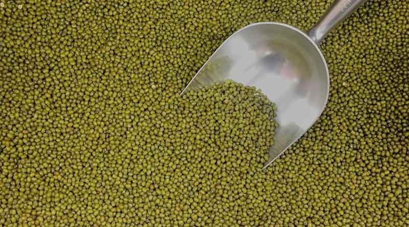 Moong Bean Variety