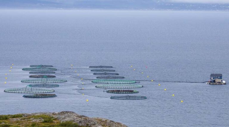 Insurance to the aquaculture farming