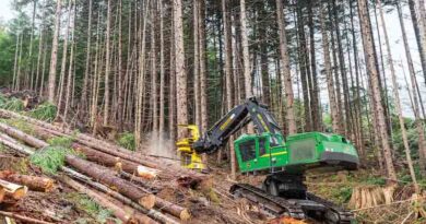 John Deere Enhances its Tracked Feller Bunchers, Harvesters and Shovel Loggers