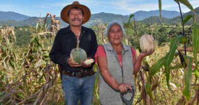 The Land That Gives Life: Tomasa And Fabián’s Plot