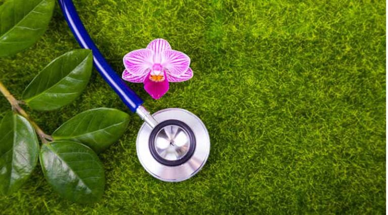 The Orchid Health Blueprint: An Introduction