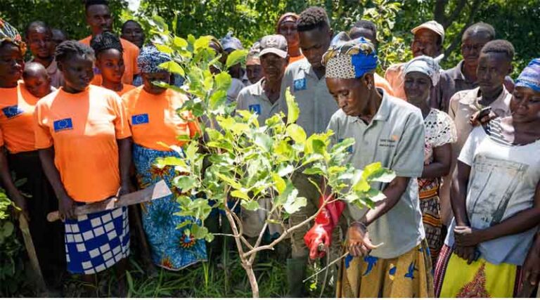 Experts Call For Effective Policies To Promote The Restoration Of Degraded Lands And Tackle Climate Change In Africa