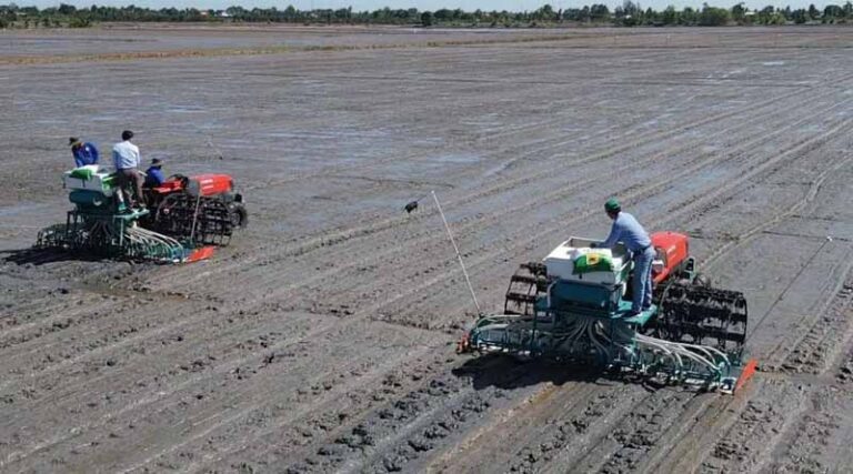 Fertilize Right Combines Science And Partnership To Transform Vietnam's Rice Production