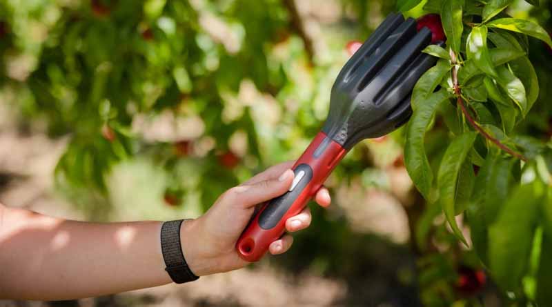 AgroFresh Presents New Digital Post-Harvest Technology at Fruit Attraction 2025 in São Paulo