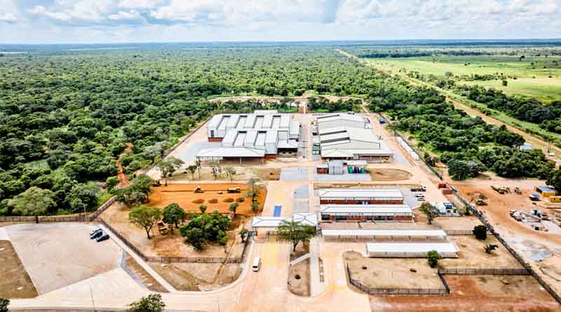 Bayer Opens Maize Seed Facility in Zambia to Support Food Security for about 30 Million People