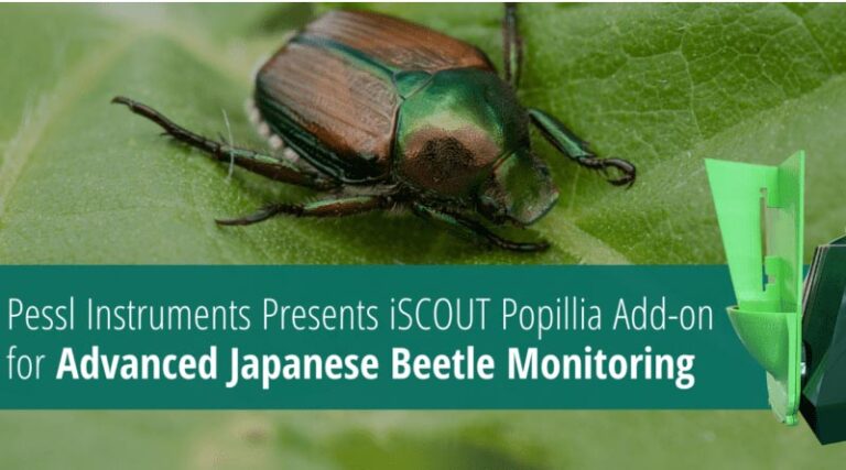 Pessl Instruments Presents iSCOUT Popillia Add-on for Advanced Japanese Beetle Monitoring