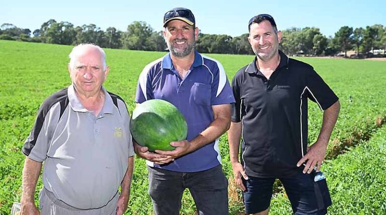 Quality Is The Key For WA Family Farm