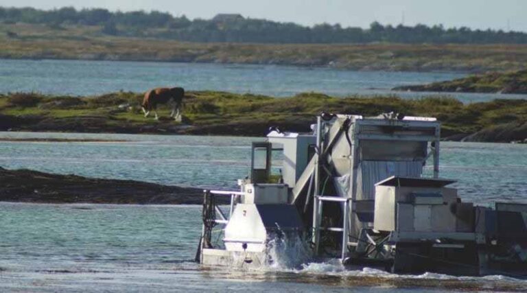 Popular Seaweed Biostimulant for Crop Enhancement in the UK
