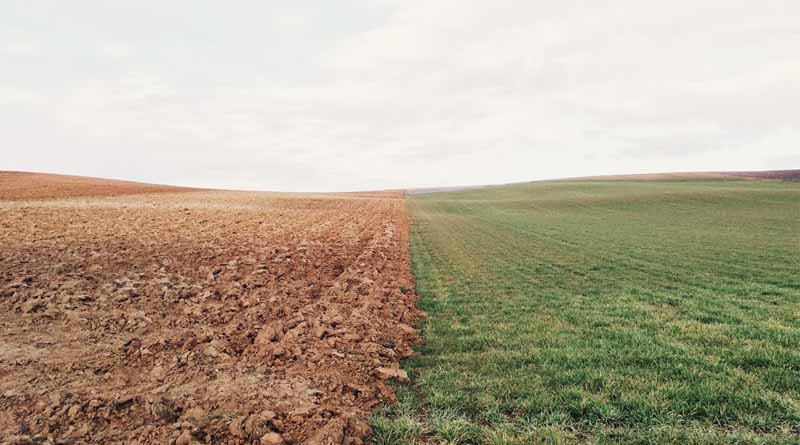 Indian Government Steps Up Efforts to Improve Soil Organic Carbon Levels