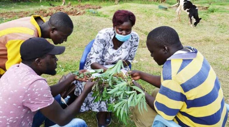 Plant Health Within A One Health Context Highlighted At Commission Of Phytosanitary Measures CPM 19