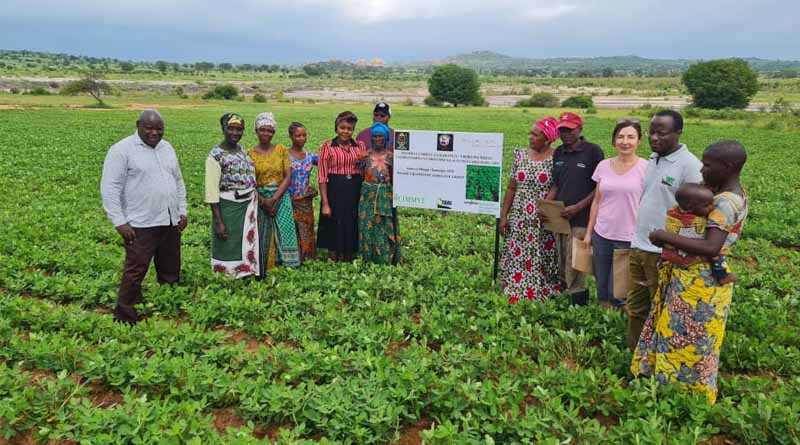 Seeds of change: How QDS is Transforming Smallholder Farming In Tanzania