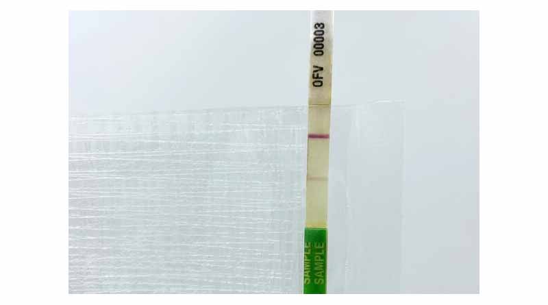 Agdia Launches ImmunoStrip to Detect Orchid Fleck Virus