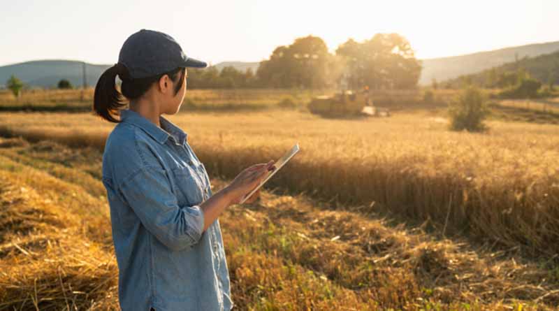Syngenta Group Reports $28.8 Billion Sales And $3.9 Billion Ebitda In 2024