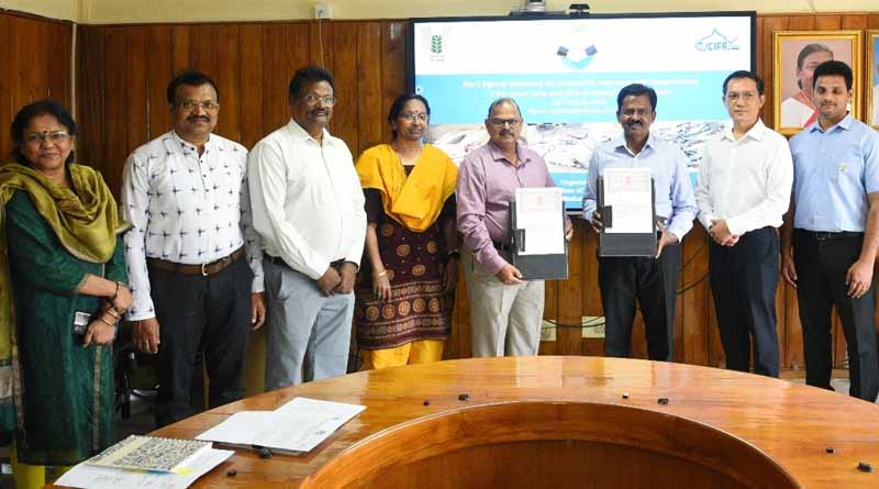 ICAR-CIFA Partners with Multinational Company to Promote High-Yielding Scampi
