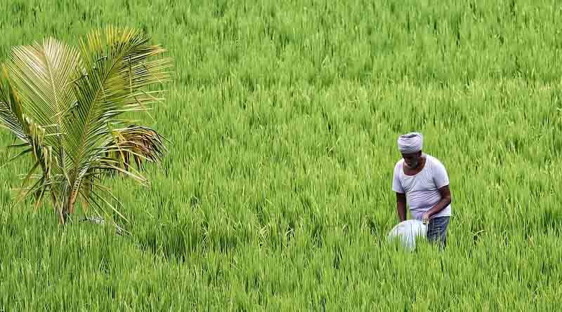 India Slaps Anti-Dumping Duties on Chinese Pretilachlor – What It Means for Agrochemical Players