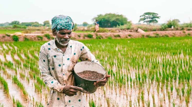 India’s Urea Production Capacity Surges to 283.74 LMTPA with Six New Plants Under NIP-2012