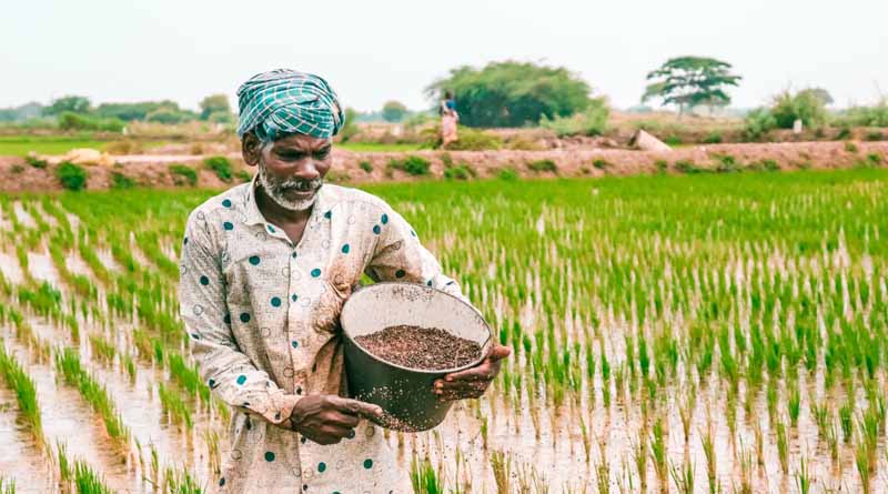 India’s Urea Production Capacity Surges to 283.74 LMTPA with Six New Plants Under NIP-2012