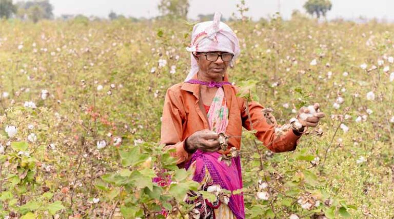 Government Notifies Maximum Sale Price of Bt Cotton Seeds for 2025-26
