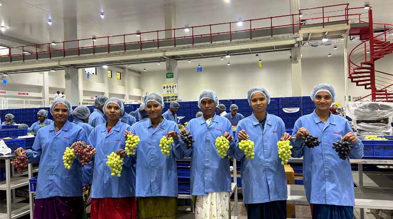 Mahindra Agri Solutions Completes 20 Years of Table Grape Exports from India