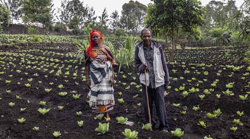 Conflict And Rising Food Prices Drive Congolese Into One Of The World's Worst Food Crises According To New IPC data