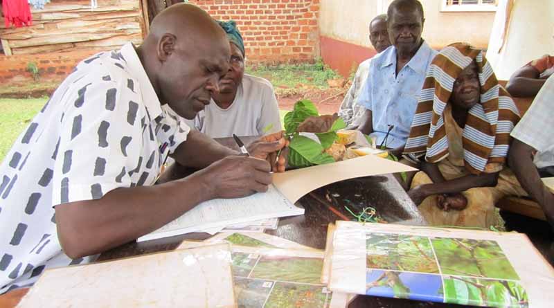 Progress Made To Tackle Humanity’s Greatest Challenges Reported At CABI’s Executive Council