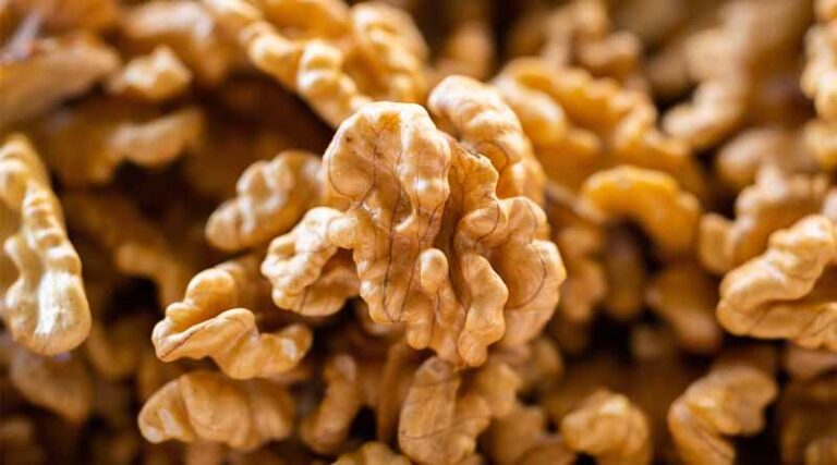 Chile Ramps Up Walnut Exports to India Amid Challenges for Kashmiri Growers