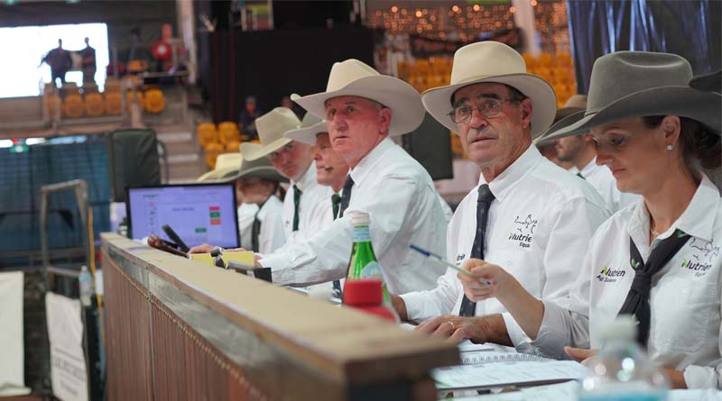 Performance Horse Industry Holds Strong At 2025 Nutrien Classic