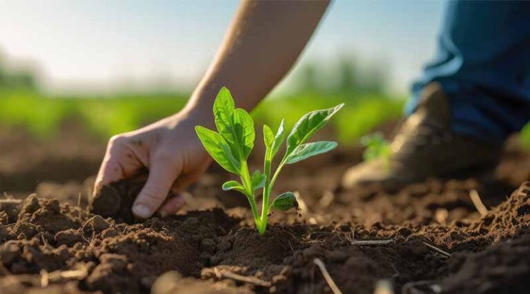 Farmers Edge Opens Premier Agricultural Lab Services to Agribusinesses and Farmers in the U.S. and Canada