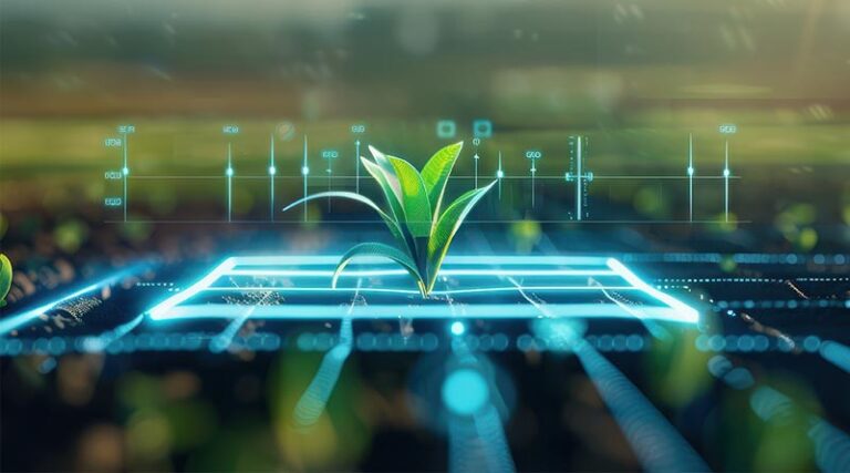 Build vs. Buy: The Tech Dilemma in Agriculture