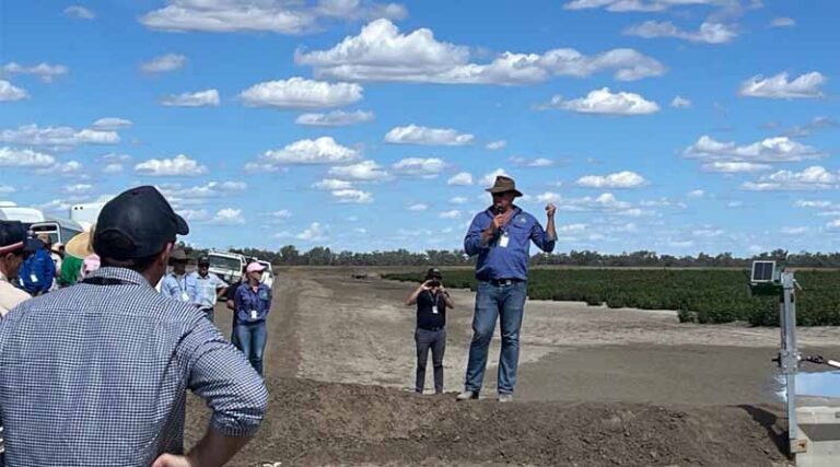 2024 Cotton Grower of the Year Field Day Showcases Innovation & Sustainability