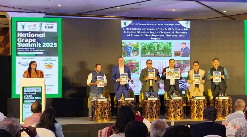 National Grape Summit 2025 Organized