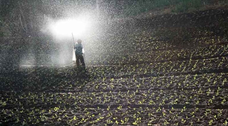 Government Authorizes Seven Manufacturers to Sell Fermented Organic Manure Directly to Farmers
